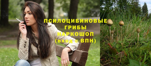 Альфа ПВП Киреевск