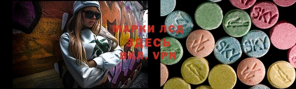 ГАЛЛЮЦИНОГЕННЫЕ ГРИБЫ Кодинск