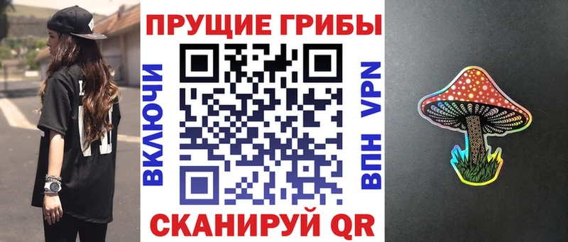 Купить где Инта Галлюциногенные грибы GOLDEN TEACHER